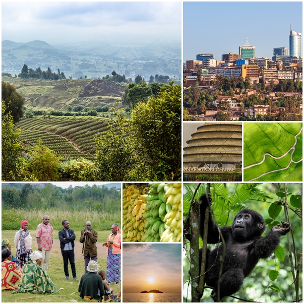 Rwandan chapter of Catalyst 2030